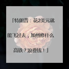 特朗普：花2美元就能飞过去，加州修什么高铁？浪费钱！