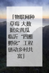 物联网种草莓 大数据卖黄瓜 临沂“四雁孵化”工程链动乡村共富
