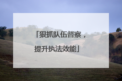 狠抓队伍督察，提升执法效能
