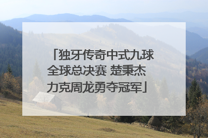 独牙传奇中式九球全球总决赛 楚秉杰力克周龙勇夺冠军