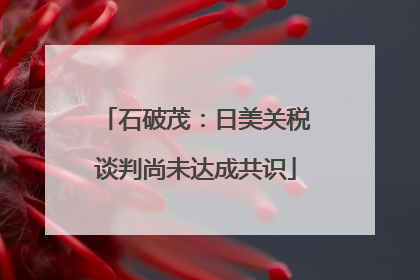 石破茂：日美关税谈判尚未达成共识