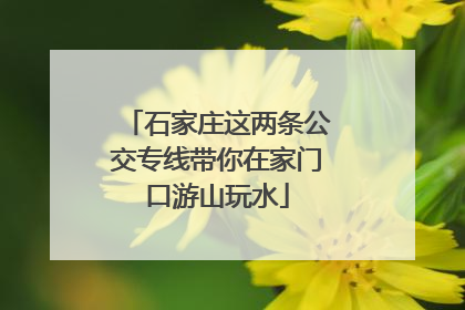 石家庄这两条公交专线带你在家门口游山玩水