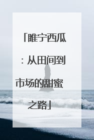 睢宁西瓜：从田间到市场的甜蜜之路