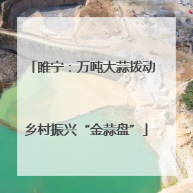 睢宁：万吨大蒜拨动乡村振兴“金蒜盘”