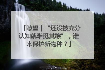瞭望｜“还没被充分认知就难觅其踪”，谁来保护新物种？