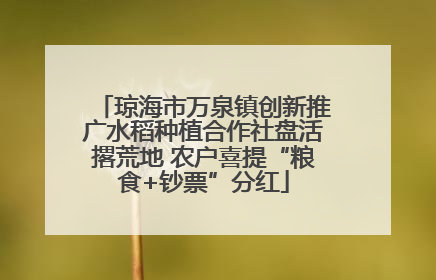 琼海市万泉镇创新推广水稻种植合作社盘活撂荒地 农户喜提“粮食+钞票”分红
