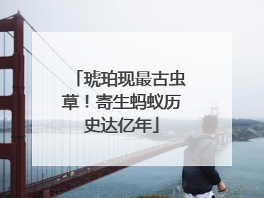 琥珀现最古虫草！寄生蚂蚁历史达亿年