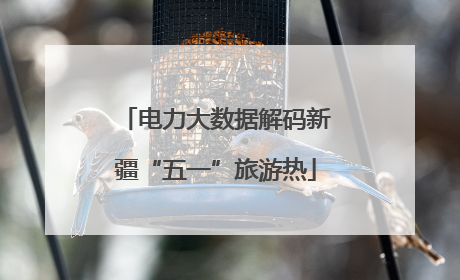 电力大数据解码新疆“五一”旅游热