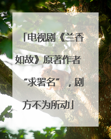 电视剧《兰香如故》原著作者“求署名”，剧方不为所动