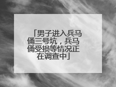 男子进入兵马俑三号坑，兵马俑受损等情况正在调查中