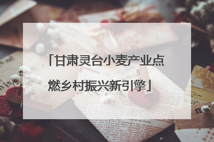 甘肃灵台小麦产业点燃乡村振兴新引擎