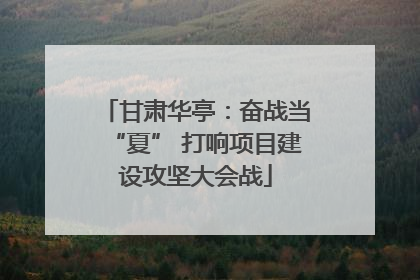 甘肃华亭：奋战当“夏” 打响项目建设攻坚大会战