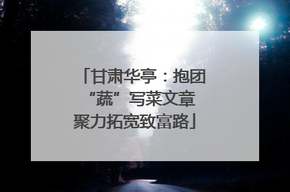 甘肃华亭：抱团“蔬”写菜文章 聚力拓宽致富路