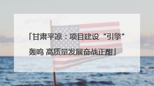 甘肃平凉：项目建设“引擎”轰鸣 高质量发展奋战正酣