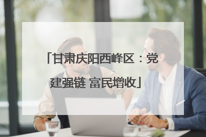 甘肃庆阳西峰区：党建强链 富民增收