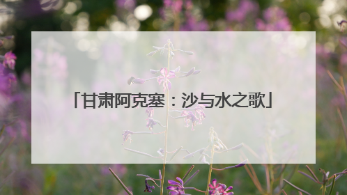 甘肃阿克塞：沙与水之歌
