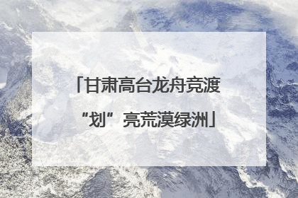 甘肃高台龙舟竞渡“划”亮荒漠绿洲