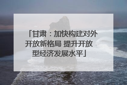 甘肃：加快构建对外开放新格局 提升开放型经济发展水平