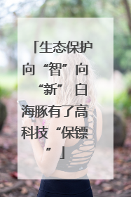 生态保护向“智”向“新” 白海豚有了高科技“保镖”