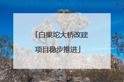 白果坨大桥改建项目稳步推进
