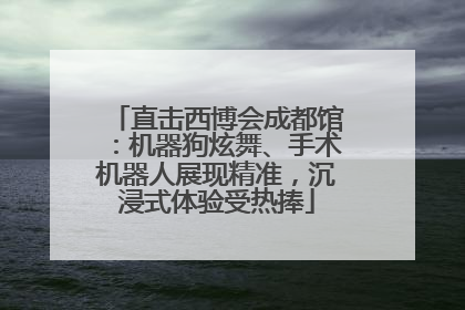 直击西博会成都馆：机器狗炫舞、手术机器人展现精准，沉浸式体验受热捧
