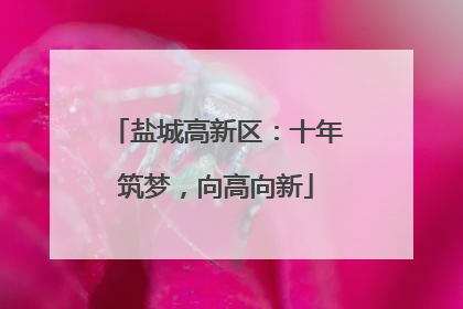 盐城高新区：十年筑梦，向高向新
