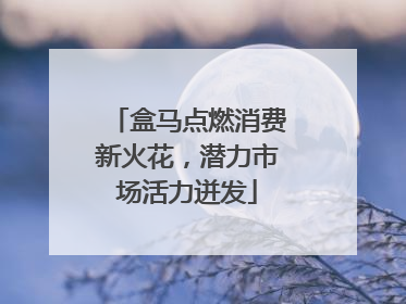 盒马点燃消费新火花，潜力市场活力迸发