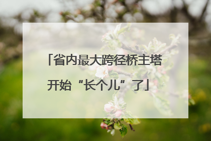 省内最大跨径桥主塔开始“长个儿”了
