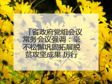 省政府党组会议常务会议强调：毫不松懈巩固拓展脱贫攻坚成果 厉行节约反对浪费弘扬优良作风