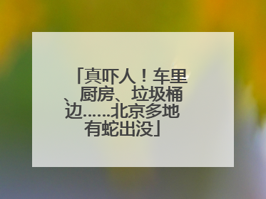 真吓人！车里、厨房、垃圾桶边……北京多地有蛇出没