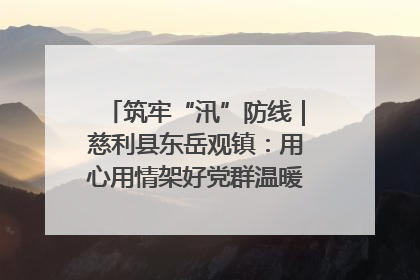 筑牢“汛”防线｜慈利县东岳观镇：用心用情架好党群温暖悠长的“连心桥”