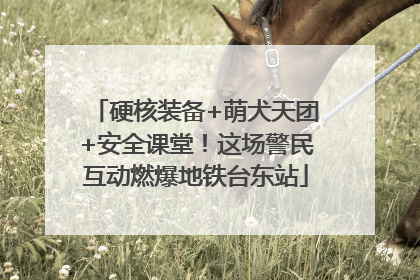 硬核装备+萌犬天团+安全课堂！这场警民互动燃爆地铁台东站