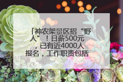神农架景区招“野人”！日薪500元，已有近4000人报名，工作职责包括“接受游客投喂”