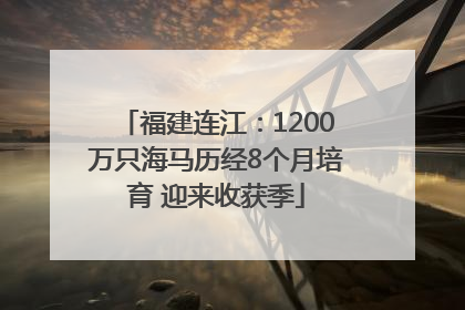 福建连江：1200万只海马历经8个月培育 迎来收获季