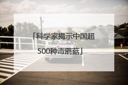 科学家揭示中国超500种毒蘑菇