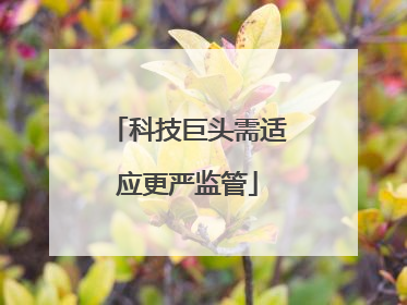 科技巨头需适应更严监管