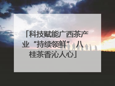 科技赋能广西茶产业“持续领鲜” 八桂茶香沁人心