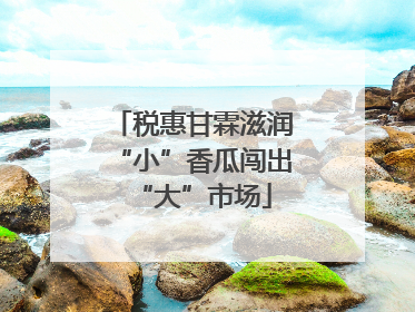 税惠甘霖滋润“小”香瓜闯出“大”市场