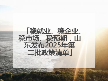 稳就业、稳企业、稳市场、稳预期，山东发布2025年第二批政策清单