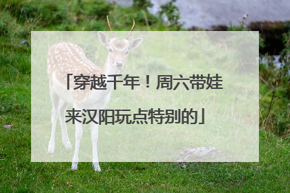 穿越千年！周六带娃来汉阳玩点特别的