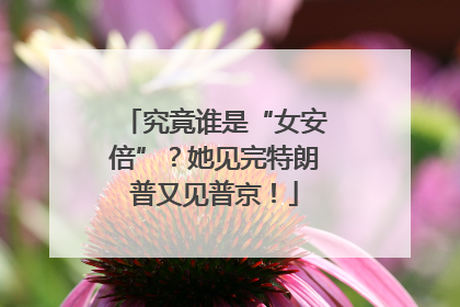 究竟谁是“女安倍”？她见完特朗普又见普京！