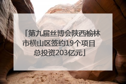 第九届丝博会陕西榆林市横山区签约19个项目 总投资203亿元