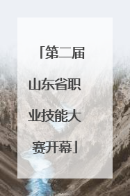 第二届山东省职业技能大赛开幕