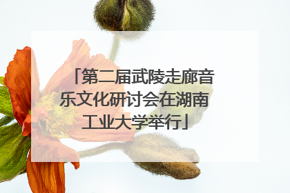 第二届武陵走廊音乐文化研讨会在湖南工业大学举行