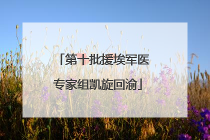 第十批援埃军医专家组凯旋回渝