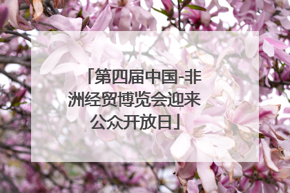 第四届中国-非洲经贸博览会迎来公众开放日