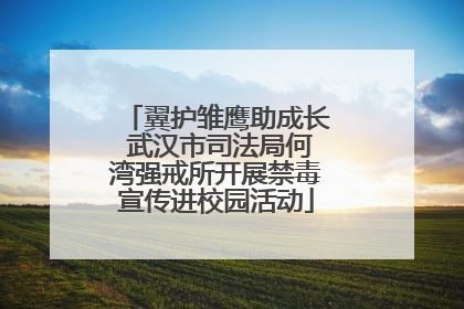 翼护雏鹰助成长 武汉市司法局何湾强戒所开展禁毒宣传进校园活动