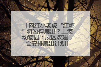 网红小老虎“红糖”将暂停展出？上海动物园：展区改建，会安排展出计划