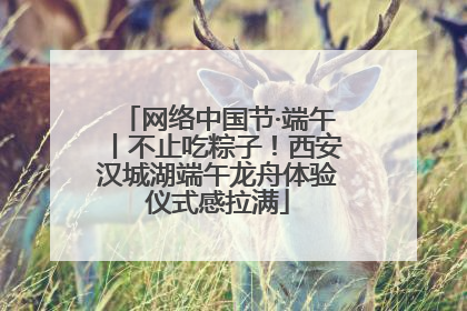 网络中国节·端午丨不止吃粽子！西安汉城湖端午龙舟体验仪式感拉满