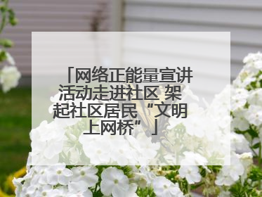 网络正能量宣讲活动走进社区 架起社区居民“文明上网桥”